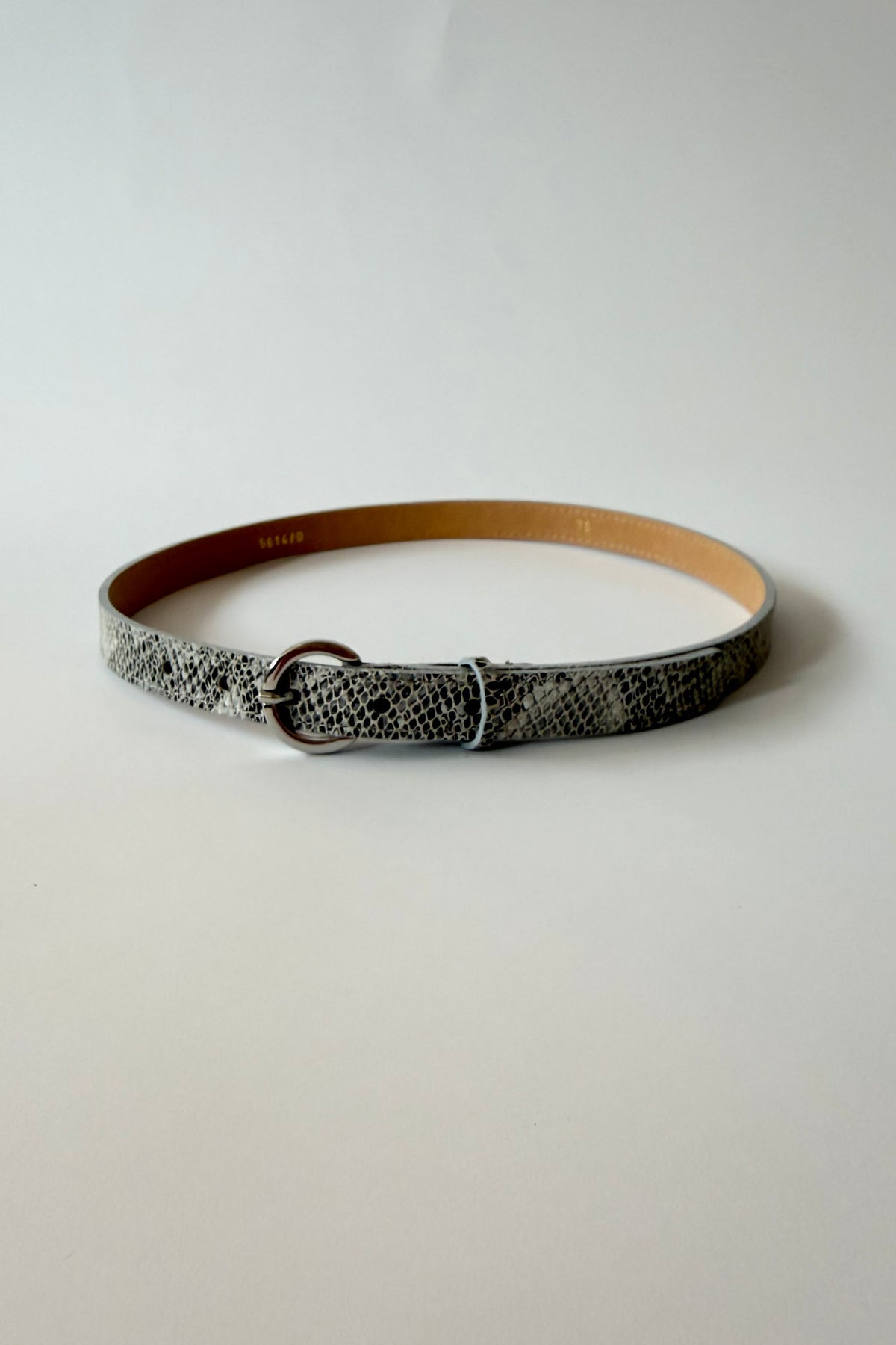 Riem snake 57878