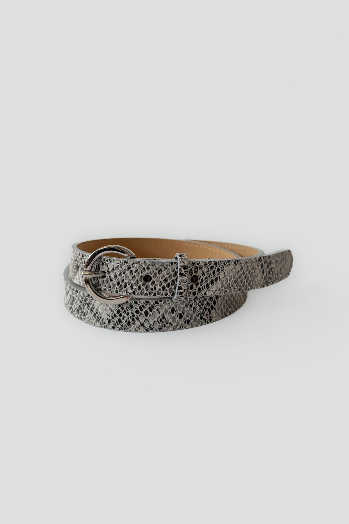 Riem snake 57878