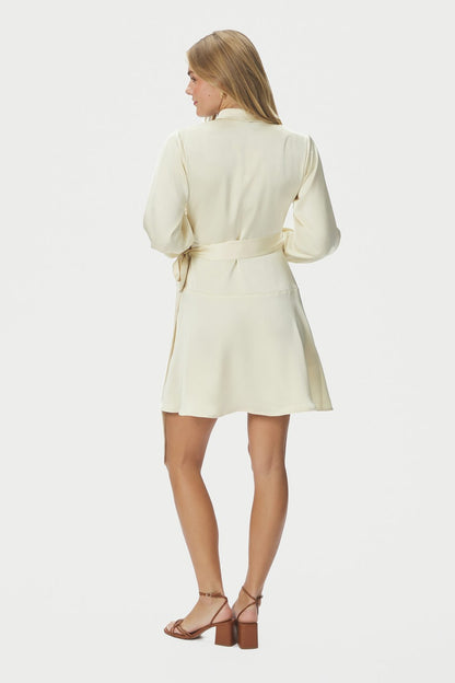 Colbie Heavy Sateen Dress