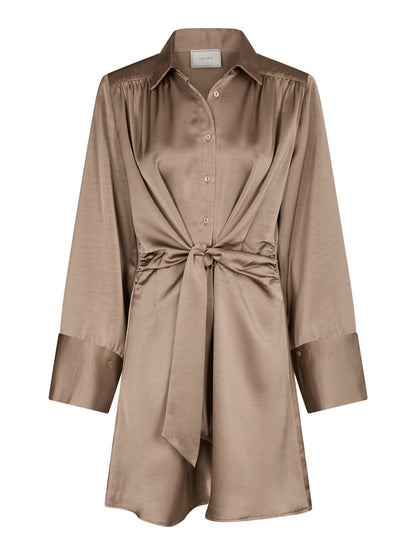 Biria Heavy Sateen dress