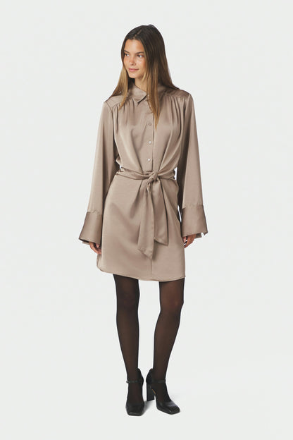 Biria Heavy Sateen dress