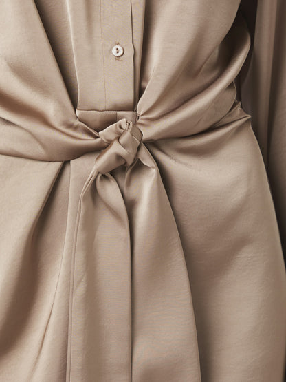 Biria Heavy Sateen dress