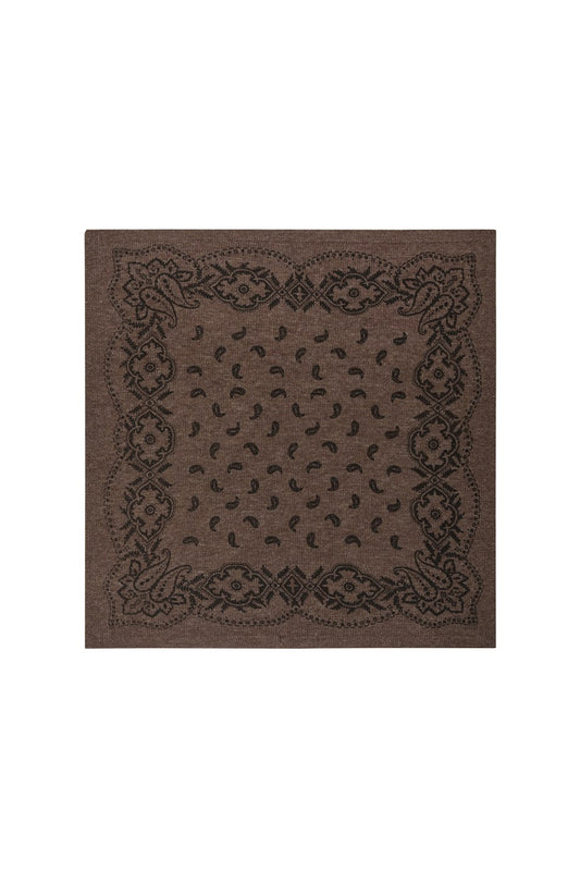 Adelina Paisley Knit Scarf