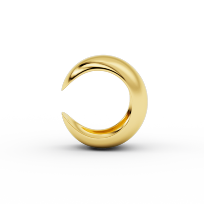 Ara Earcuff